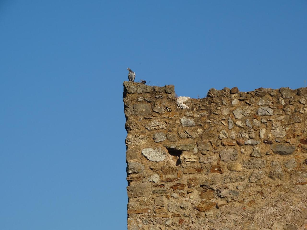 Sa Mendua E Sa Pruna Casa Al Mare Iglesias